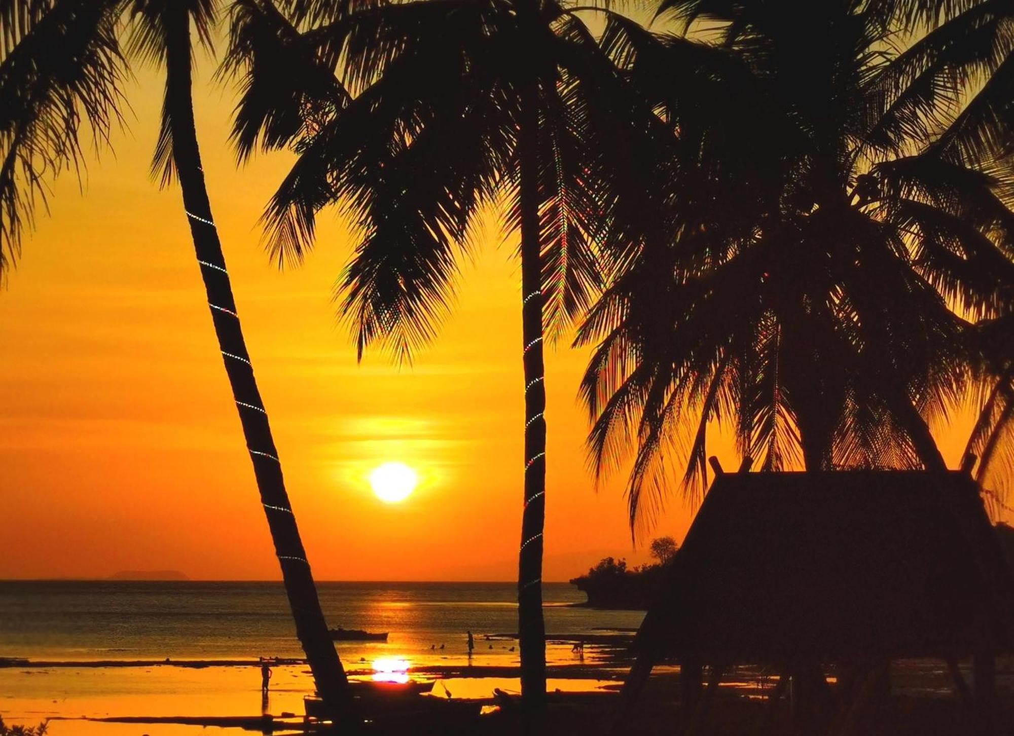 Blue Joys Msr Hotell Siquijor Exteriör bild