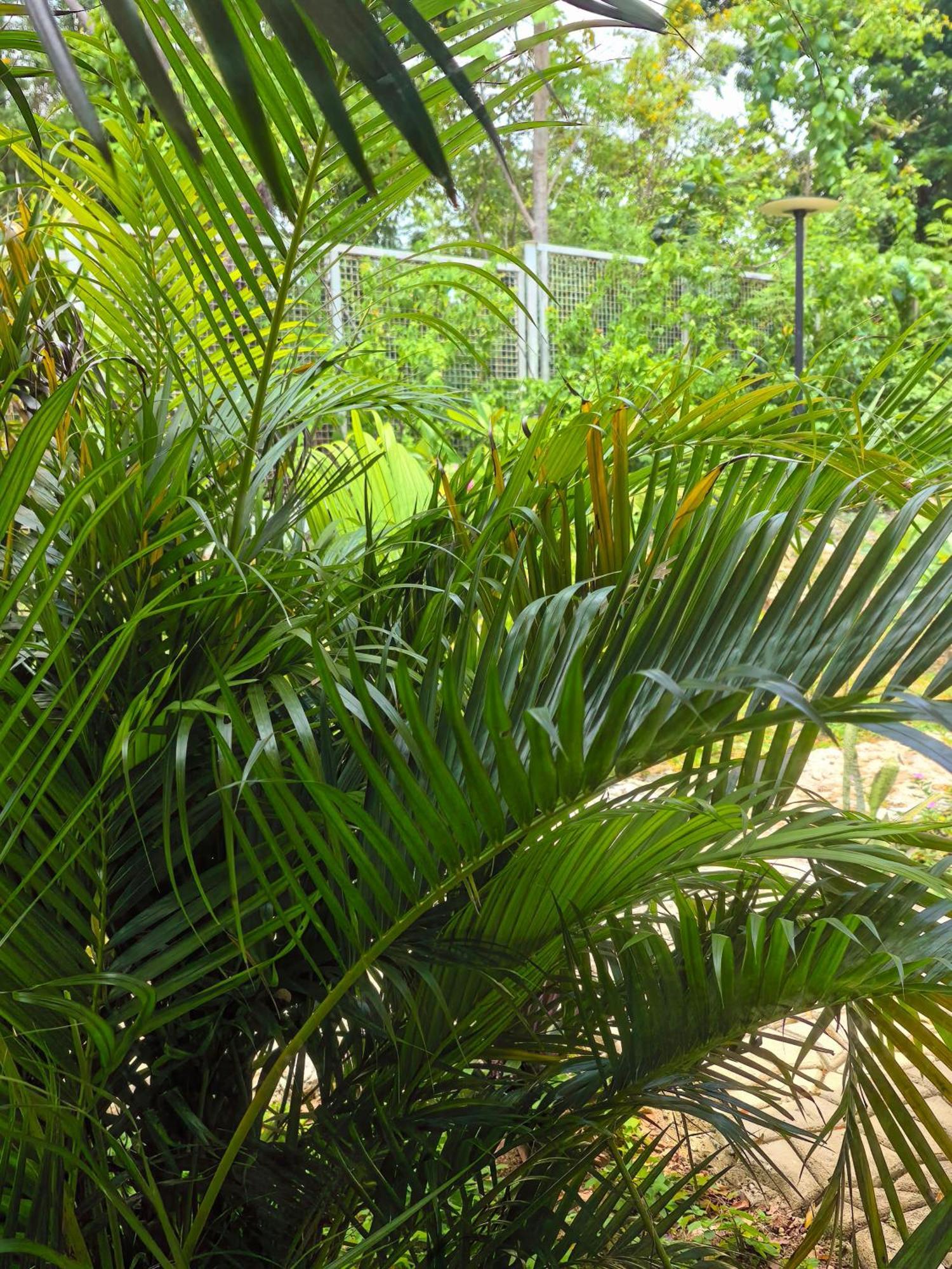 Blue Joys Msr Hotell Siquijor Exteriör bild