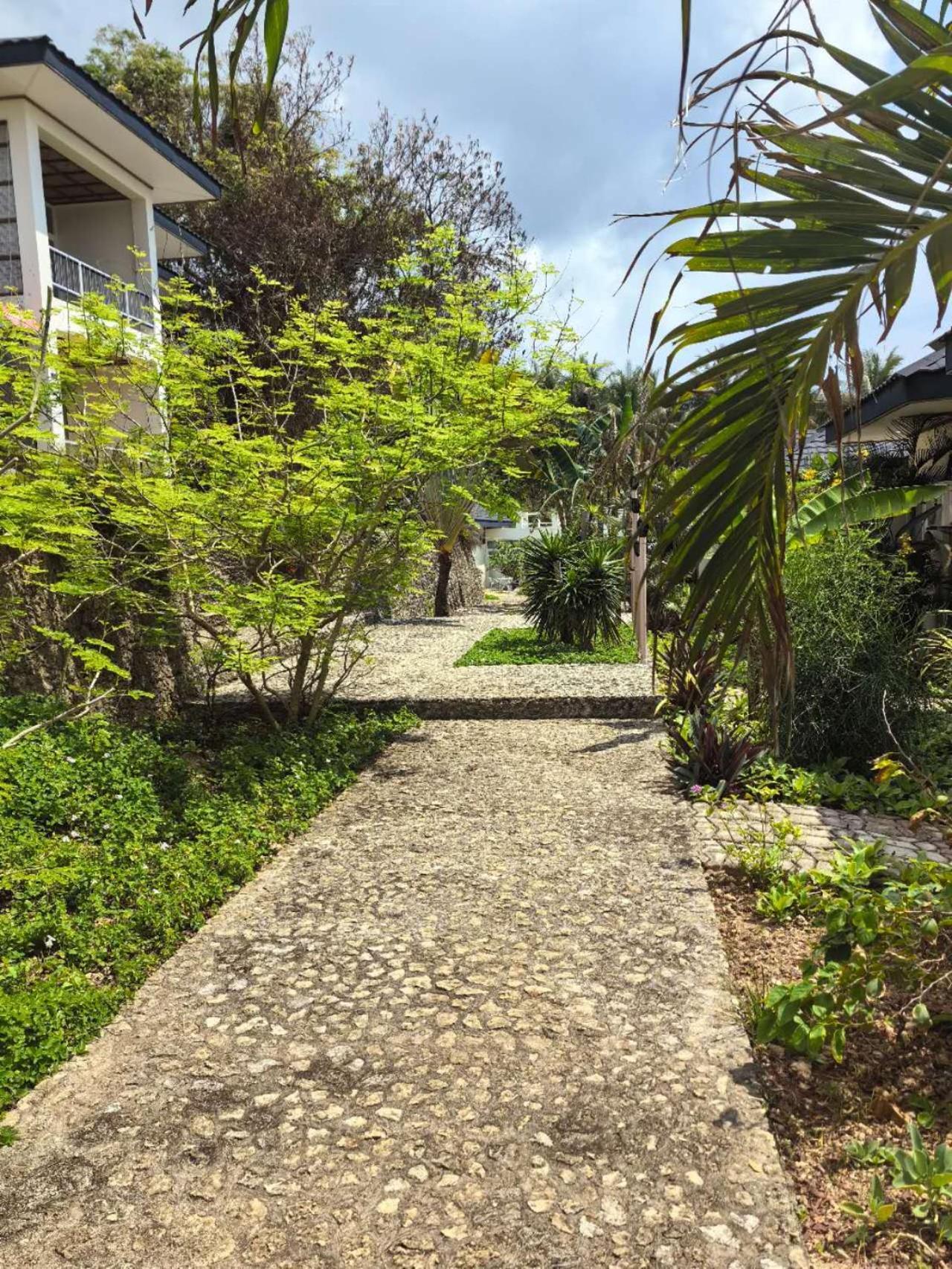 Blue Joys Msr Hotell Siquijor Exteriör bild